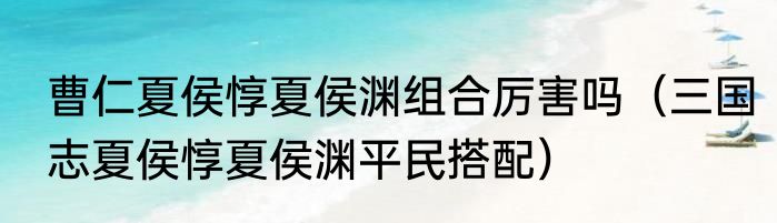 曹仁夏侯惇夏侯渊组合厉害吗（三国志夏侯惇夏侯渊平民搭配）