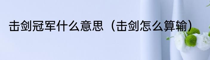 击剑冠军什么意思（击剑怎么算输）