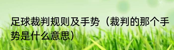 足球裁判规则及手势（裁判的那个手势是什么意思）