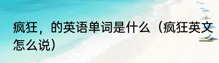 疯狂，的英语单词是什么（疯狂英文怎么说）