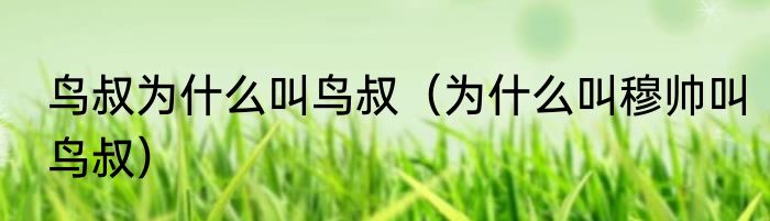 鸟叔为什么叫鸟叔（为什么叫穆帅叫鸟叔）