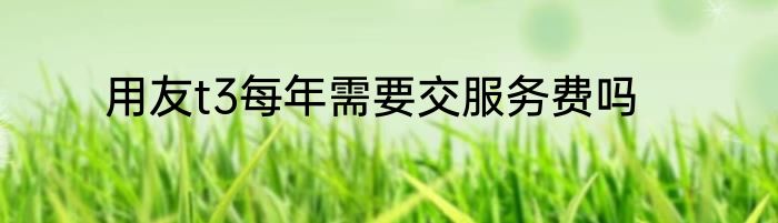 用友t3每年需要交服务费吗