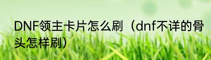 DNF领主卡片怎么刷（dnf不详的骨头怎样刷）