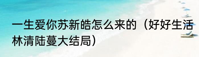一生爱你苏新皓怎么来的（好好生活林清陆蔓大结局）