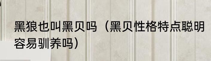 黑狼也叫黑贝吗（黑贝性格特点聪明容易驯养吗）