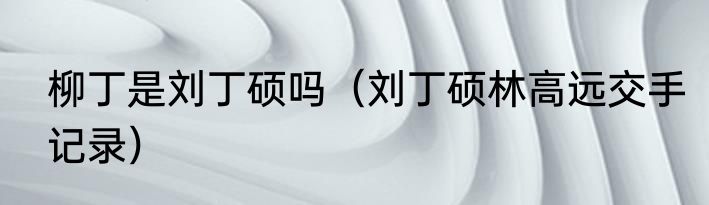 柳丁是刘丁硕吗（刘丁硕林高远交手记录）