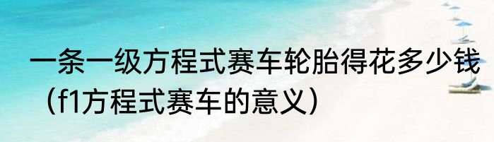 一条一级方程式赛车轮胎得花多少钱（f1方程式赛车的意义）