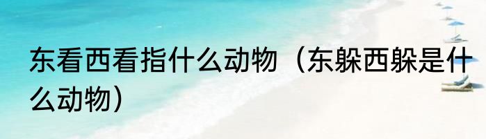 东看西看指什么动物（东躲西躲是什么动物）