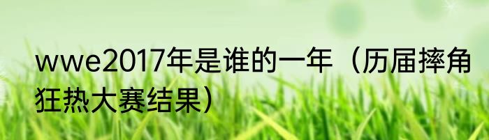 wwe2017年是谁的一年（历届摔角狂热大赛结果）