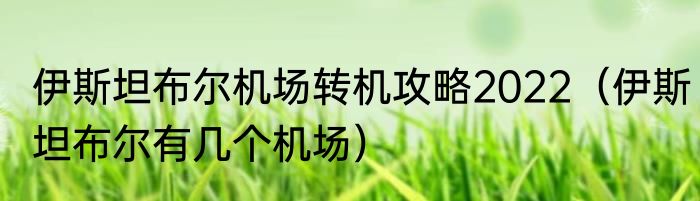 伊斯坦布尔机场转机攻略2022（伊斯坦布尔有几个机场）