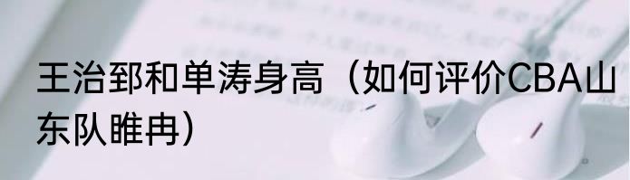 王治郅和单涛身高（如何评价CBA山东队睢冉）