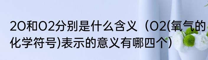 2O和O2分别是什么含义（O2(氧气的化学符号)表示的意义有哪四个）