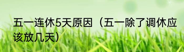 五一连休5天原因（五一除了调休应该放几天）