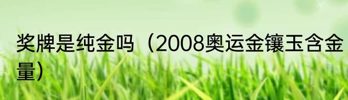 奖牌是纯金吗（2008奥运金镶玉含金量）