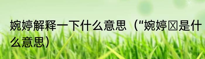婉婷解释一下什么意思（“婉婷″是什么意思）