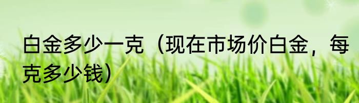 白金多少一克（现在市场价白金，每克多少钱）