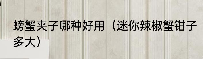 螃蟹夹子哪种好用（迷你辣椒蟹钳子多大）