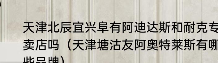 天津北辰宜兴阜有阿迪达斯和耐克专卖店吗（天津塘沽友阿奥特莱斯有哪些品牌）