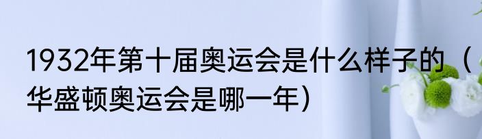 1932年第十届奥运会是什么样子的（华盛顿奥运会是哪一年）