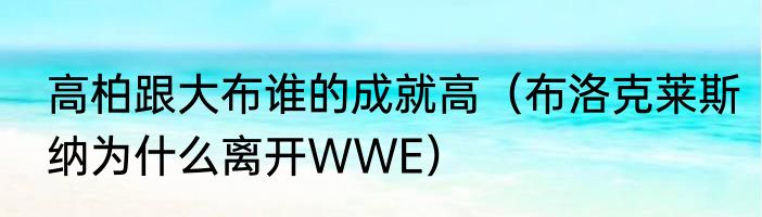 高柏跟大布谁的成就高（布洛克莱斯纳为什么离开WWE）