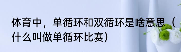 体育中，单循环和双循环是啥意思（什么叫做单循环比赛）