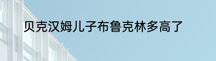 贝克汉姆儿子布鲁克林多高了