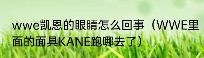 wwe凯恩的眼睛怎么回事（WWE里面的面具KANE跑哪去了）