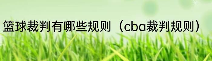 篮球裁判有哪些规则（cba裁判规则）