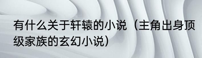 有什么关于轩辕的小说（主角出身顶级家族的玄幻小说）