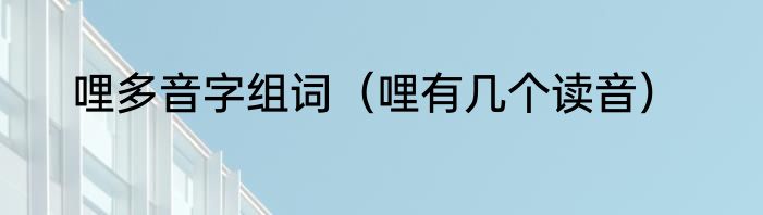 哩多音字组词（哩有几个读音）