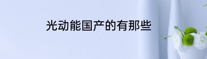 光动能国产的有那些