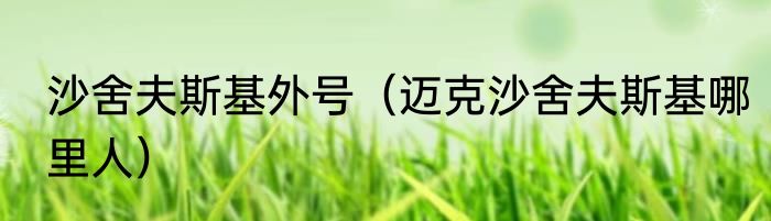 沙舍夫斯基外号（迈克沙舍夫斯基哪里人）