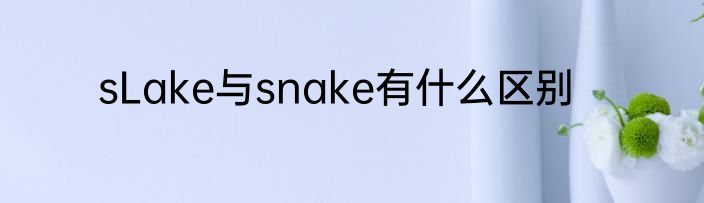 sLake与snake有什么区别