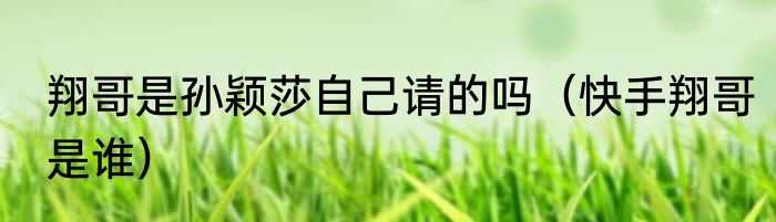 翔哥是孙颖莎自己请的吗（快手翔哥是谁）