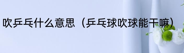 吹乒乓什么意思（乒乓球吹球能干嘛）