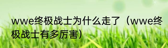 wwe终极战士为什么走了（wwe终极战士有多厉害）