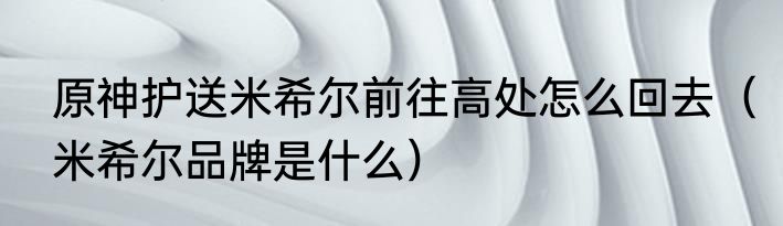 原神护送米希尔前往高处怎么回去（米希尔品牌是什么）