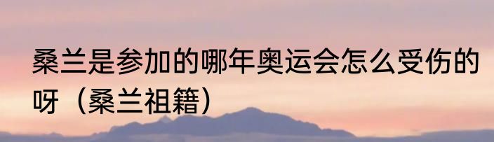 桑兰是参加的哪年奥运会怎么受伤的呀（桑兰祖籍）
