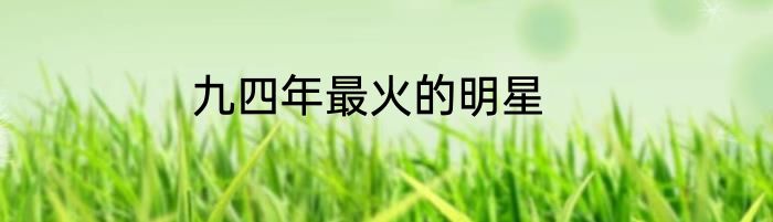 九四年最火的明星