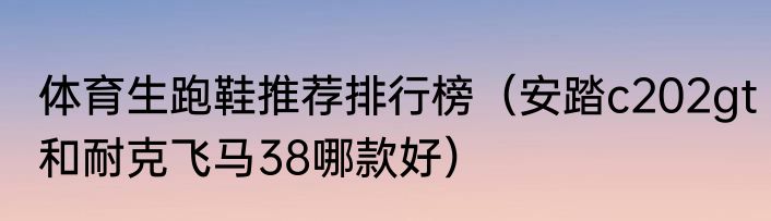 体育生跑鞋推荐排行榜（安踏c202gt和耐克飞马38哪款好）