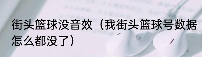 街头篮球没音效（我街头篮球号数据怎么都没了）