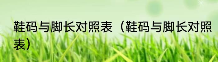 鞋码与脚长对照表（鞋码与脚长对照表）