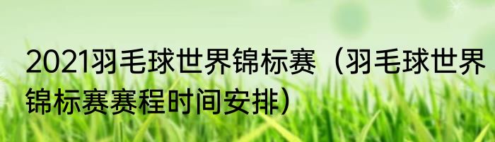 2021羽毛球世界锦标赛（羽毛球世界锦标赛赛程时间安排）