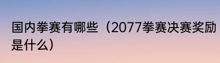 国内拳赛有哪些（2077拳赛决赛奖励是什么）