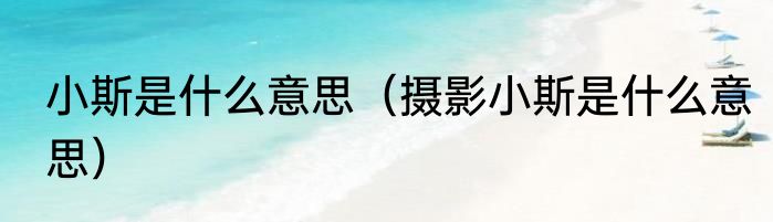 小斯是什么意思（摄影小斯是什么意思）