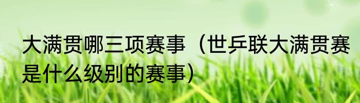 大满贯哪三项赛事（世乒联大满贯赛是什么级别的赛事）