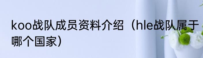 koo战队成员资料介绍（hle战队属于哪个国家）