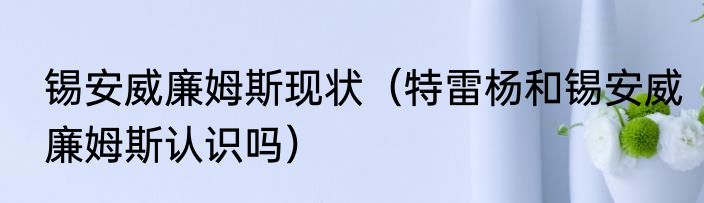 锡安威廉姆斯现状（特雷杨和锡安威廉姆斯认识吗）