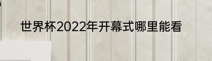 世界杯2022年开幕式哪里能看
