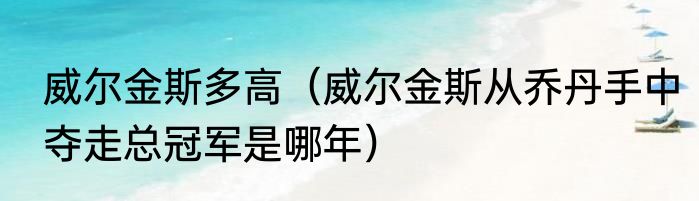 威尔金斯多高（威尔金斯从乔丹手中夺走总冠军是哪年）
